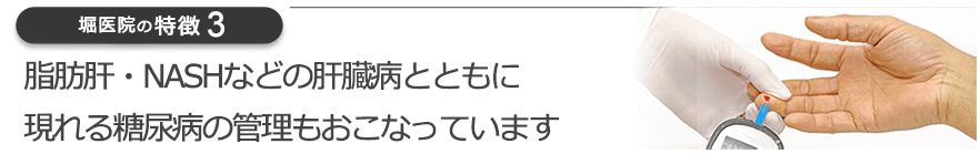 脂肪肝・NASHなどの肝臓病とともに現れる糖尿病の管理もおこなっています